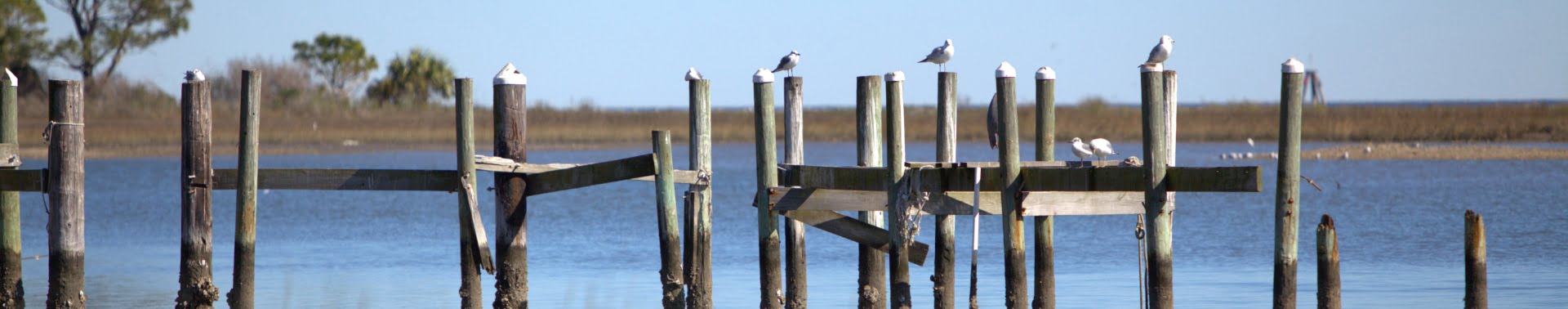 Birds resting on wooden poles